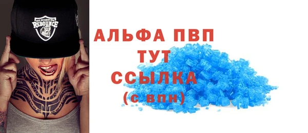 ПСИЛОЦИБИНОВЫЕ ГРИБЫ Грязи