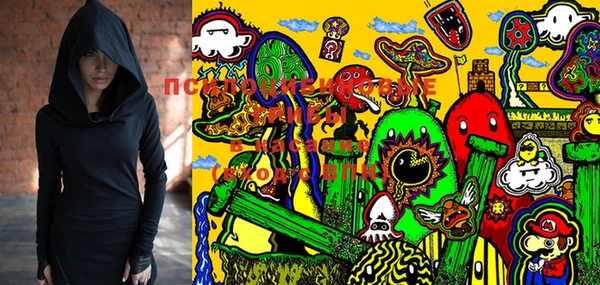 ПСИЛОЦИБИНОВЫЕ ГРИБЫ Грязи