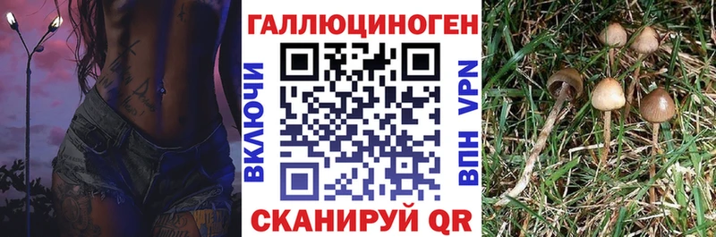 Псилоцибиновые грибы прущие грибы  Купить закладки  Макаров 